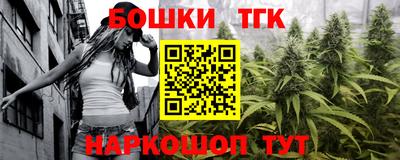 индика Комсомольск-на-Амуре