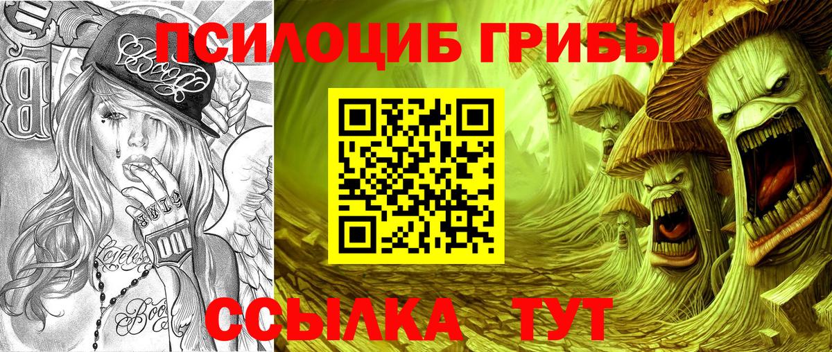 Галлюциногенные грибы Cubensis  Тосно 