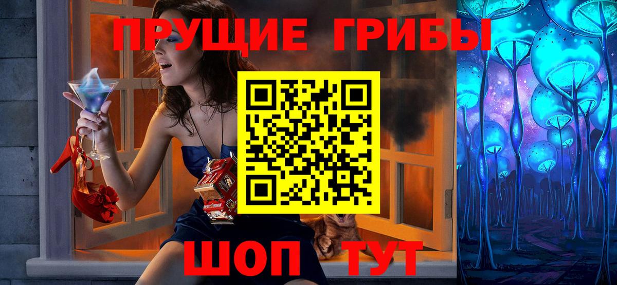 наркошоп  Вход с VPN  Тосно  Галлюциногенные грибы Psilocybine cubensis 