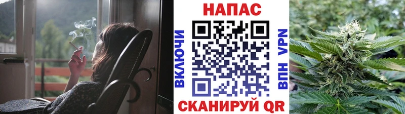 Шишки марихуана марихуана дарк нет состав Тосно что такое