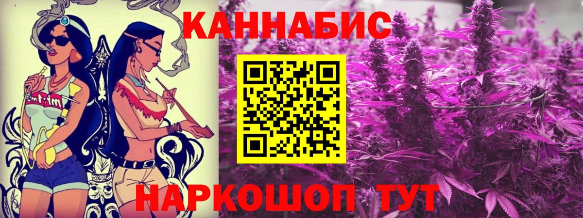 МАРИХУАНА семена  Каннабис OG Kush  Тосно  Вход с VPN  Канабис THC 21% 